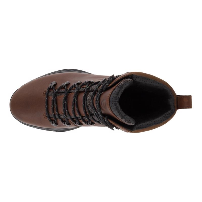 Kahverengi ECCO EXOHIKE M COCOA BROWN | Ecco