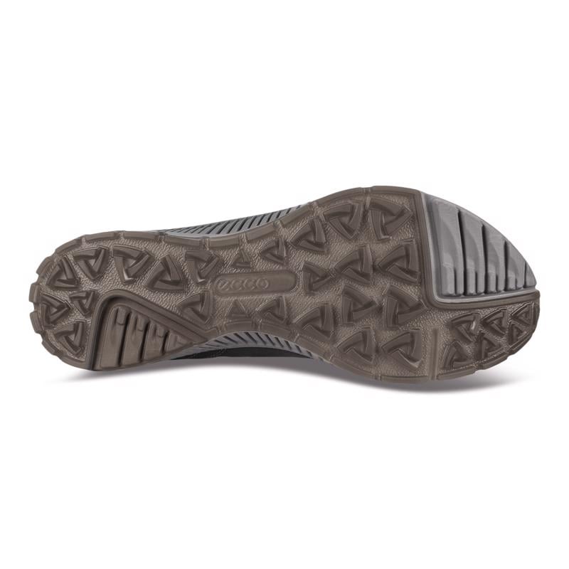 Siyah ECCO TERRACRUISE II M BLACK/BLACK