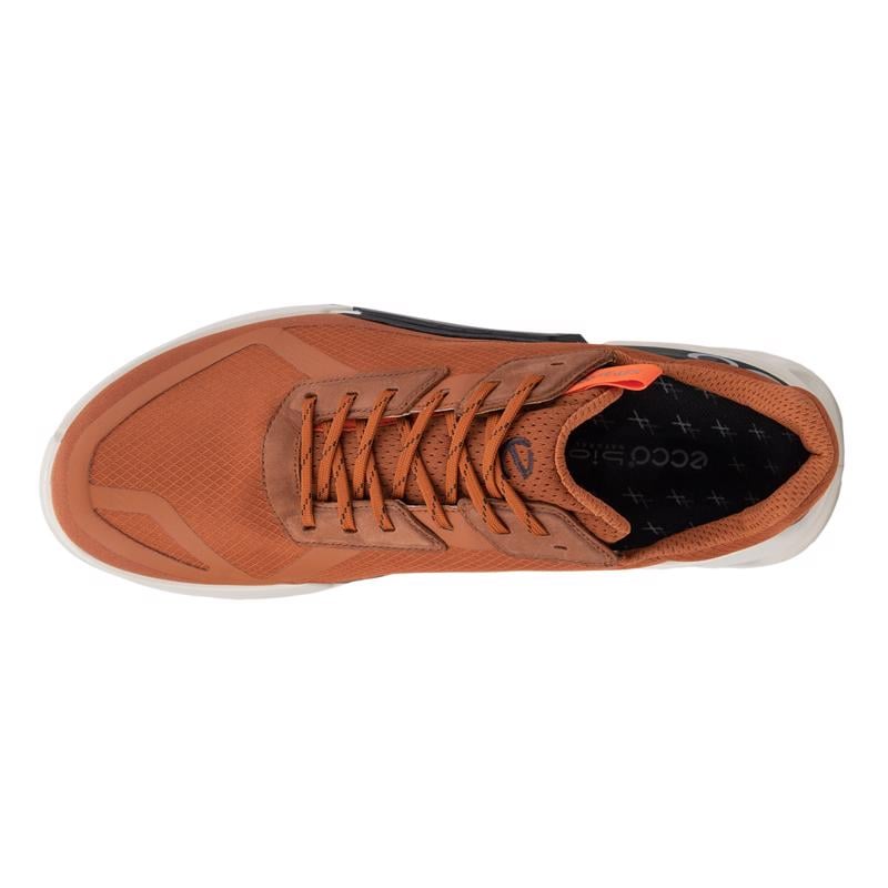 Brown Biom 21 X Country M Cognac Black | ECCO Türkiye