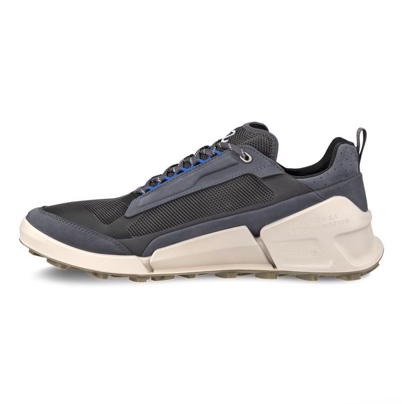 Gri Biom 21 X Mountain M Magnet Magnet Black 82381460771 | Ecco