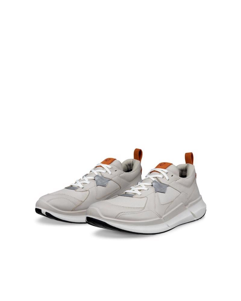 ecco-biom-2-2-m-