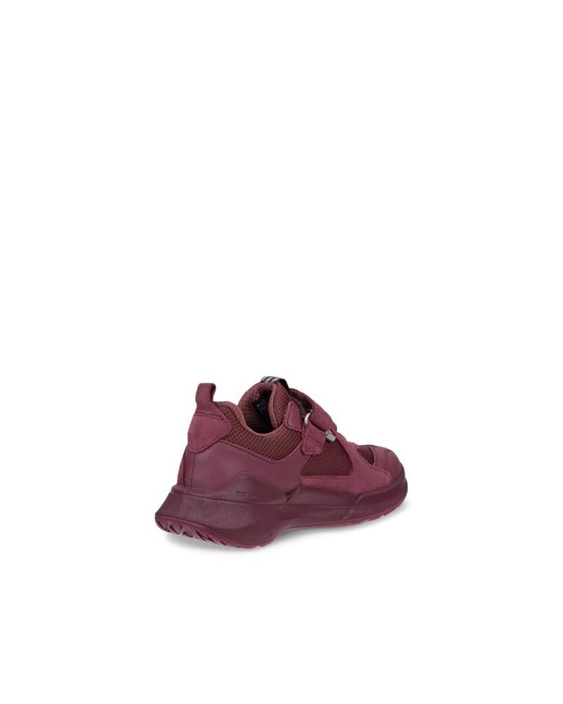 Red ECCO Biom 2.2 K Nocturne