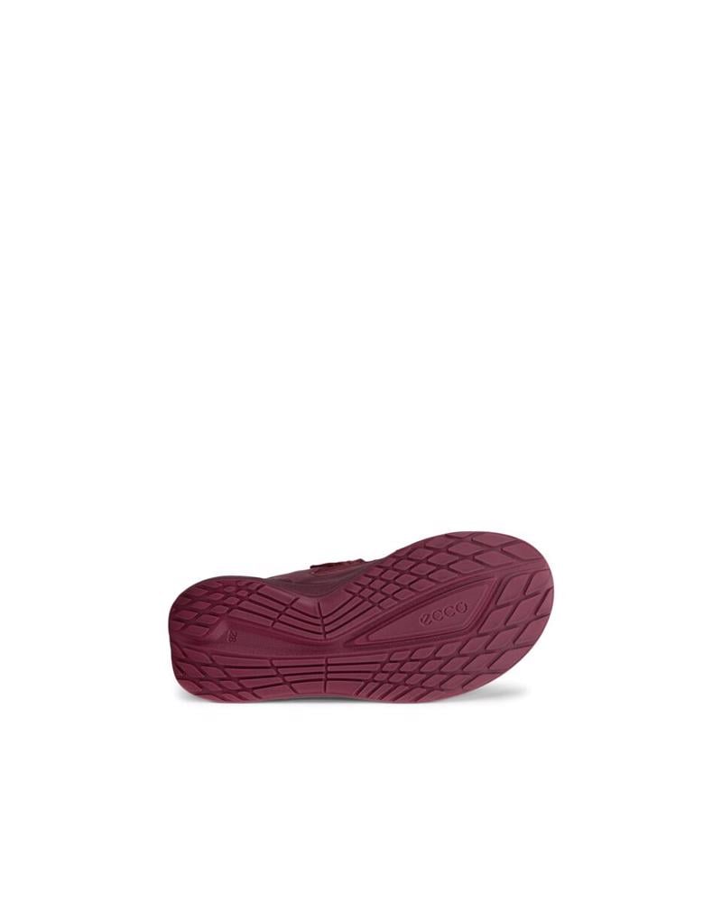 Red ECCO Biom 2.2 K Nocturne
