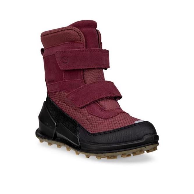Bordo ECCO Biom K2 Nocturne