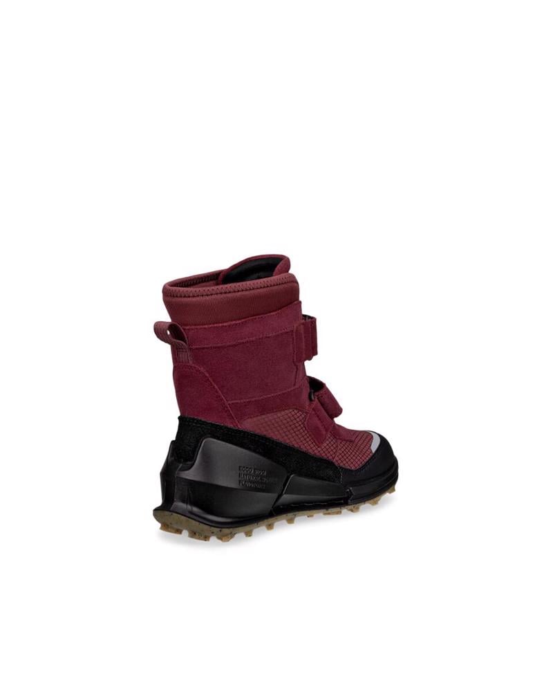 Wine ECCO Biom K2 Nocturne