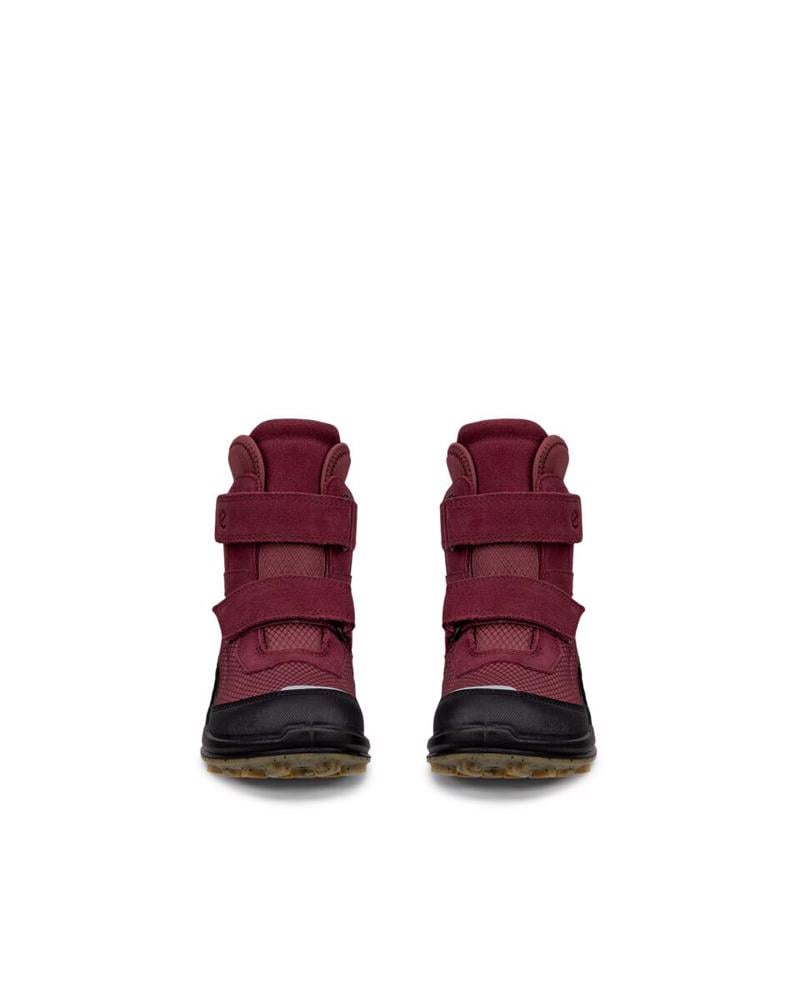 Wine ECCO Biom K2 Nocturne