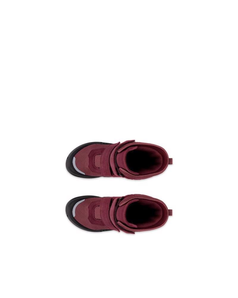 Wine ECCO Biom K2 Nocturne