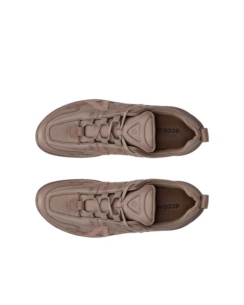 Brown ECCO Biom Lite W Taupe