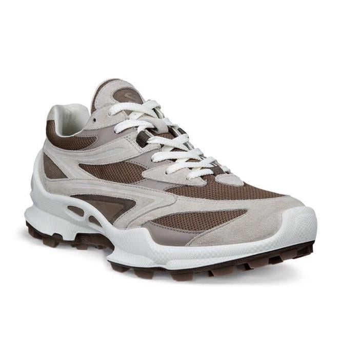 Grey ECCO Biom C-Trail M Gravel
