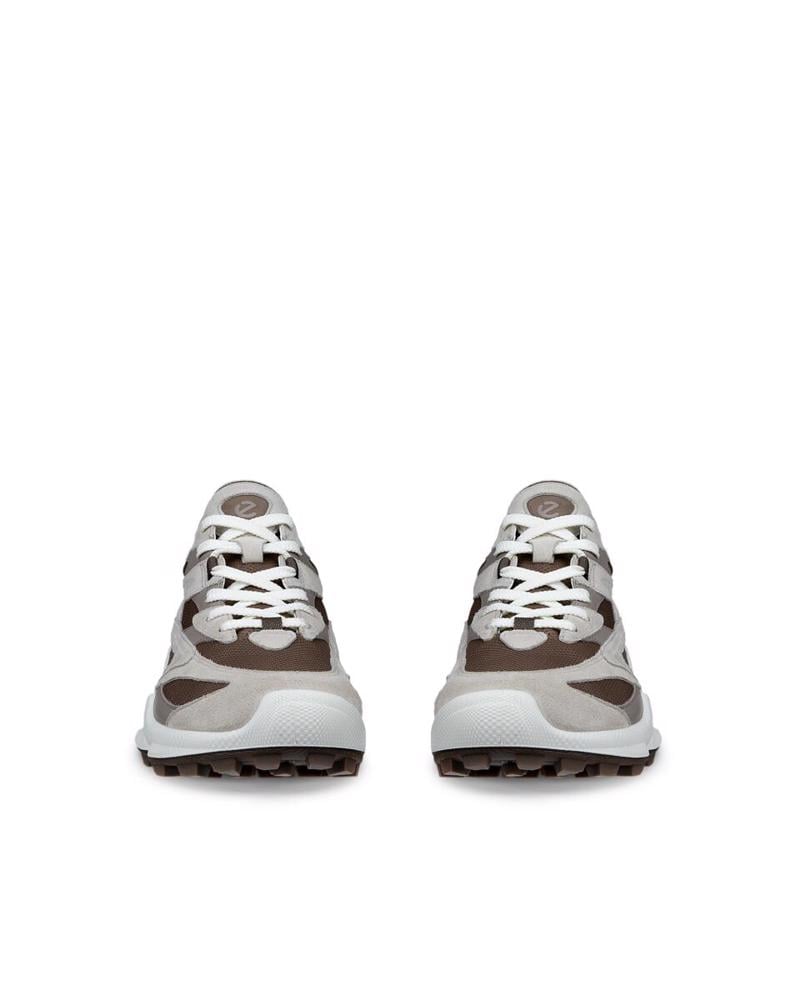 Grey ECCO Biom C-Trail M Gravel
