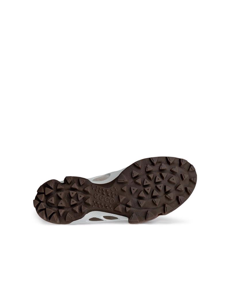 Grey ECCO Biom C-Trail M Gravel