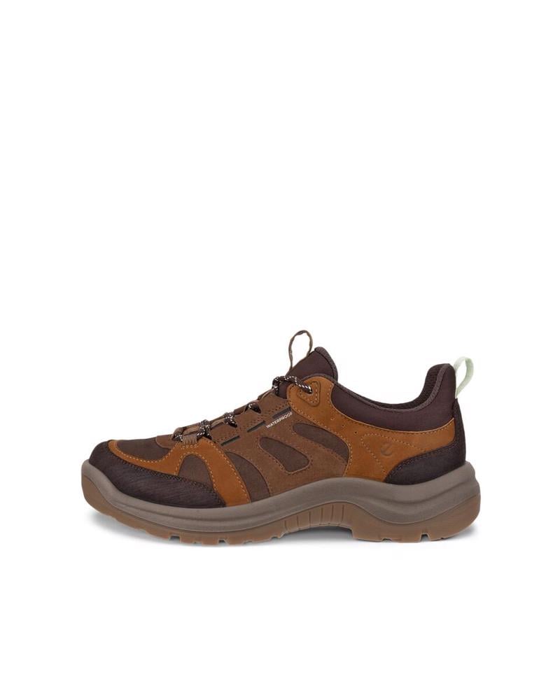 Brown ECCO Offroad W Mocha