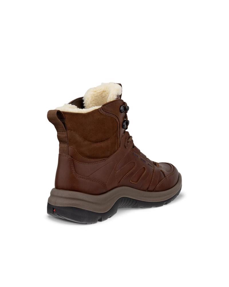 Brown ECCO Offroad W Cocoa Brown