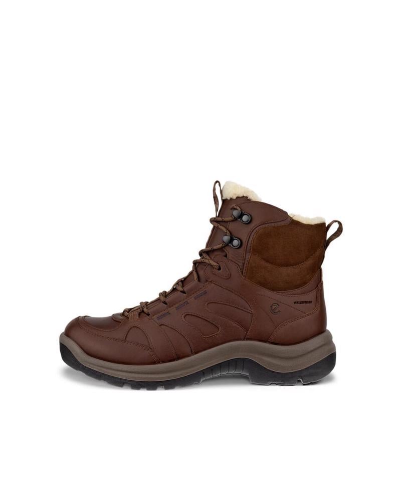 Brown ECCO Offroad W Cocoa Brown