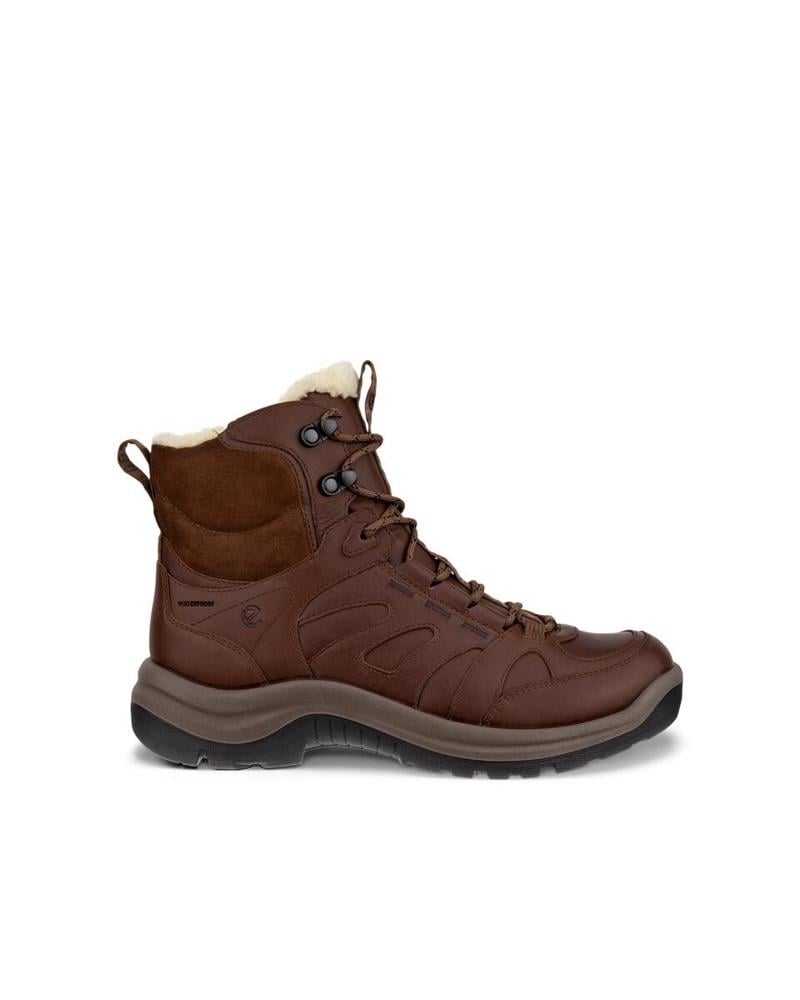 Brown ECCO Offroad W Cocoa Brown