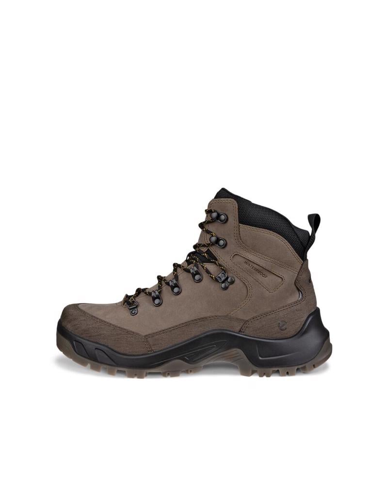 Brown ECCO Offroad M Nutmeg Brown