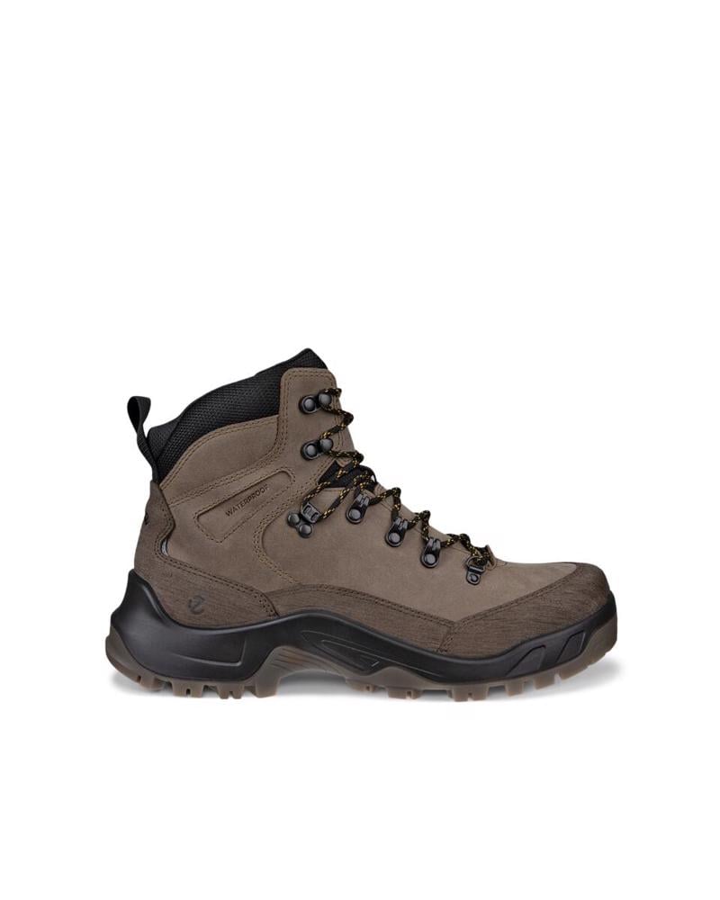 Brown ECCO Offroad M Nutmeg Brown