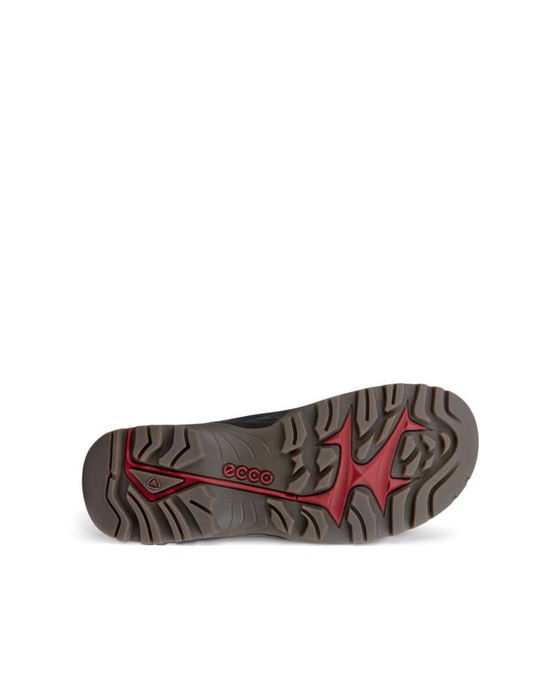 Brown ECCO Offroad M Nutmeg Brown