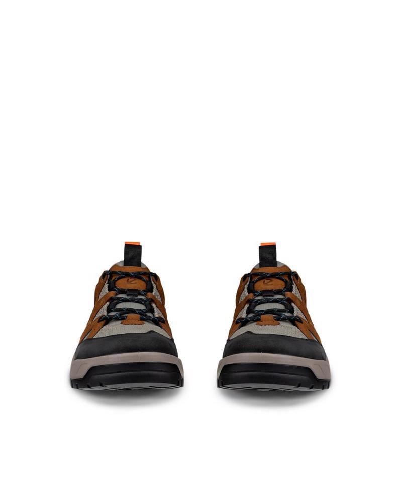 Brown ECCO Offroad M Camel
