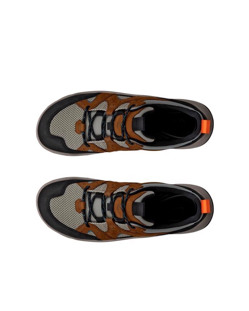 Kahverengi ECCO Offroad | Ecco