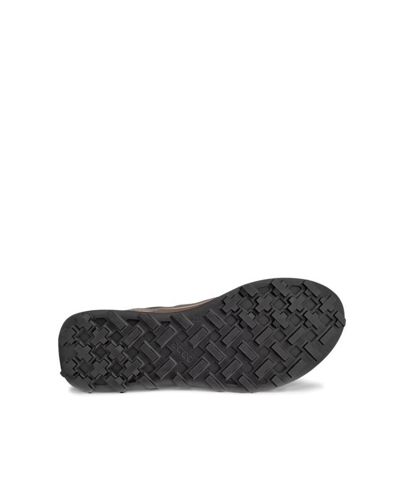 Brown ECCO Biom 2.1 X Mountain M Dark Clay