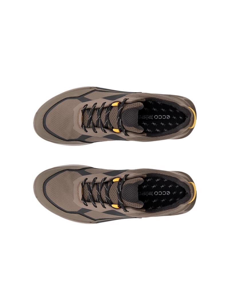 Brown ECCO Biom 2.1 X Mountain M Dark Clay