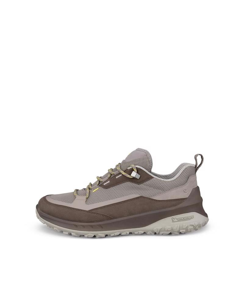 Grey ECCO ULT-TRN W Moon Rock
