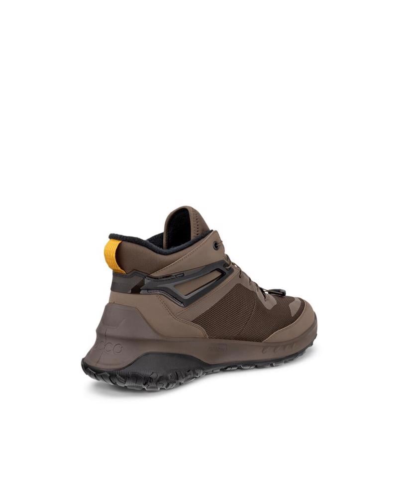 Brown ECCO ULT-TRN M Dark Clay