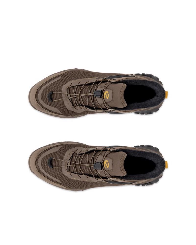 Brown ECCO ULT-TRN M Dark Clay