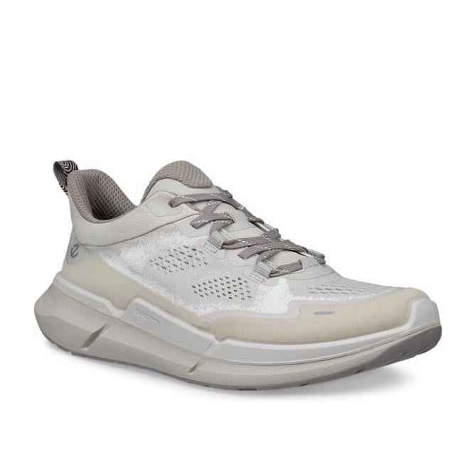 Gri ECCO Biom 2.2 W Gravel