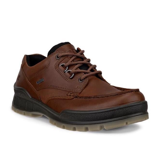 Brown ECCO Track 25 M Bison