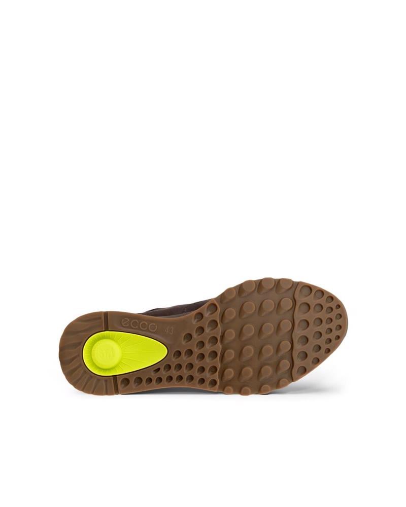 Brown ECCO Exostride M Mocha