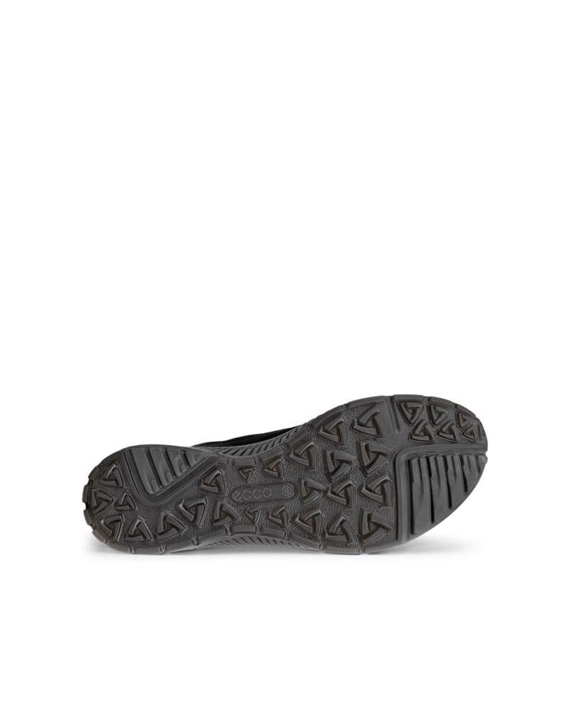 Black ECCO TERRACRUISE II W BLACK/BLACK