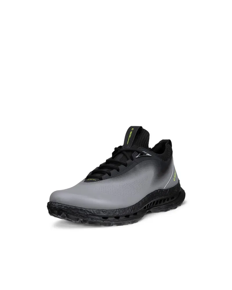 Gri ECCO Golf Biom C5