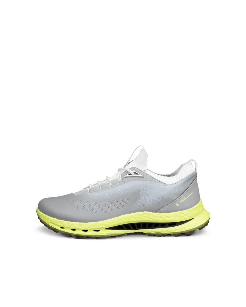 Gri ECCO Golf Biom C5