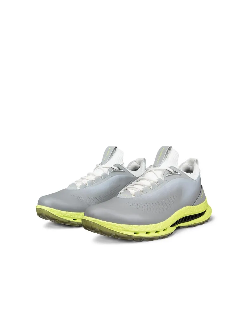 Gri ECCO Golf Biom C5