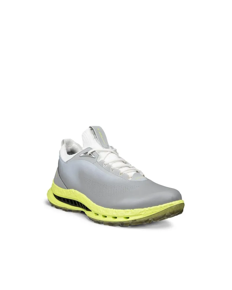 Gri ECCO Golf Biom C5