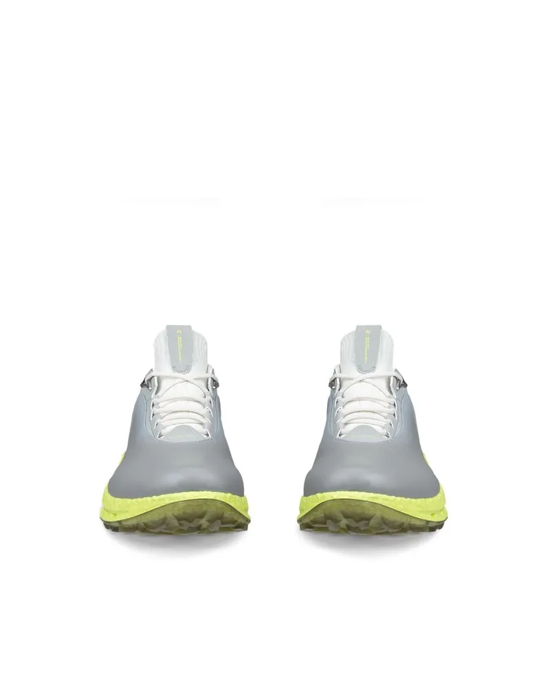 Gri ECCO Golf Biom C5
