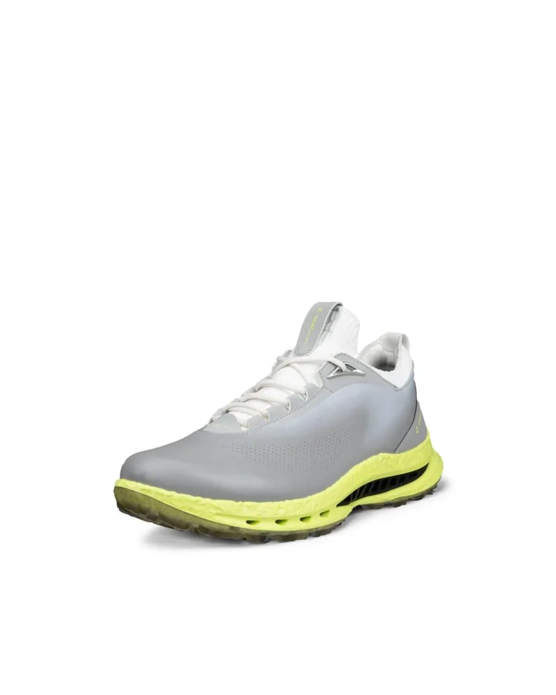 Gri ECCO Golf Biom C5
