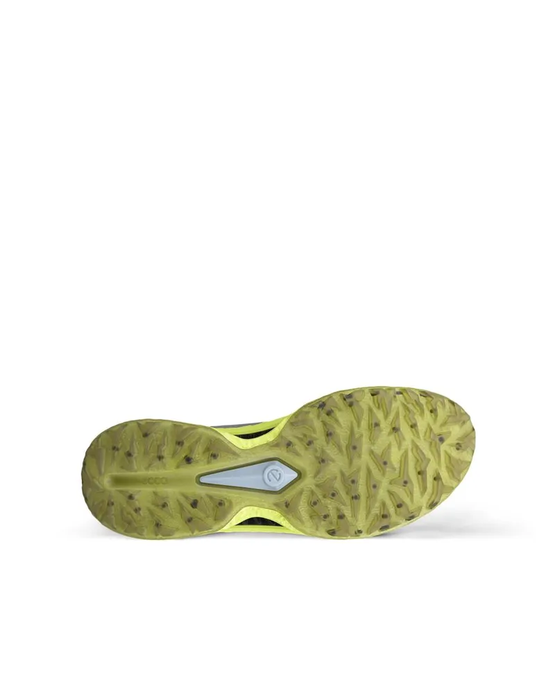 Gri ECCO Golf Biom C5