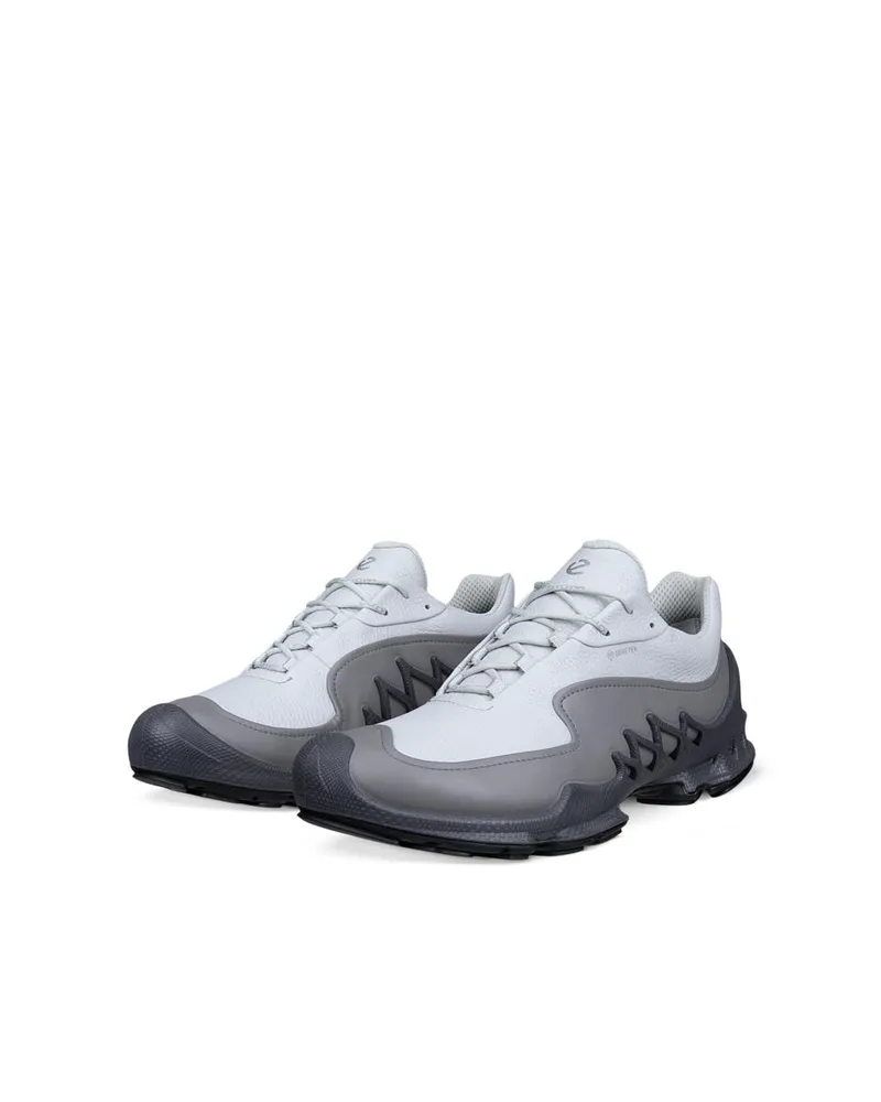 Grey ECCO Biom Aex M Magnet