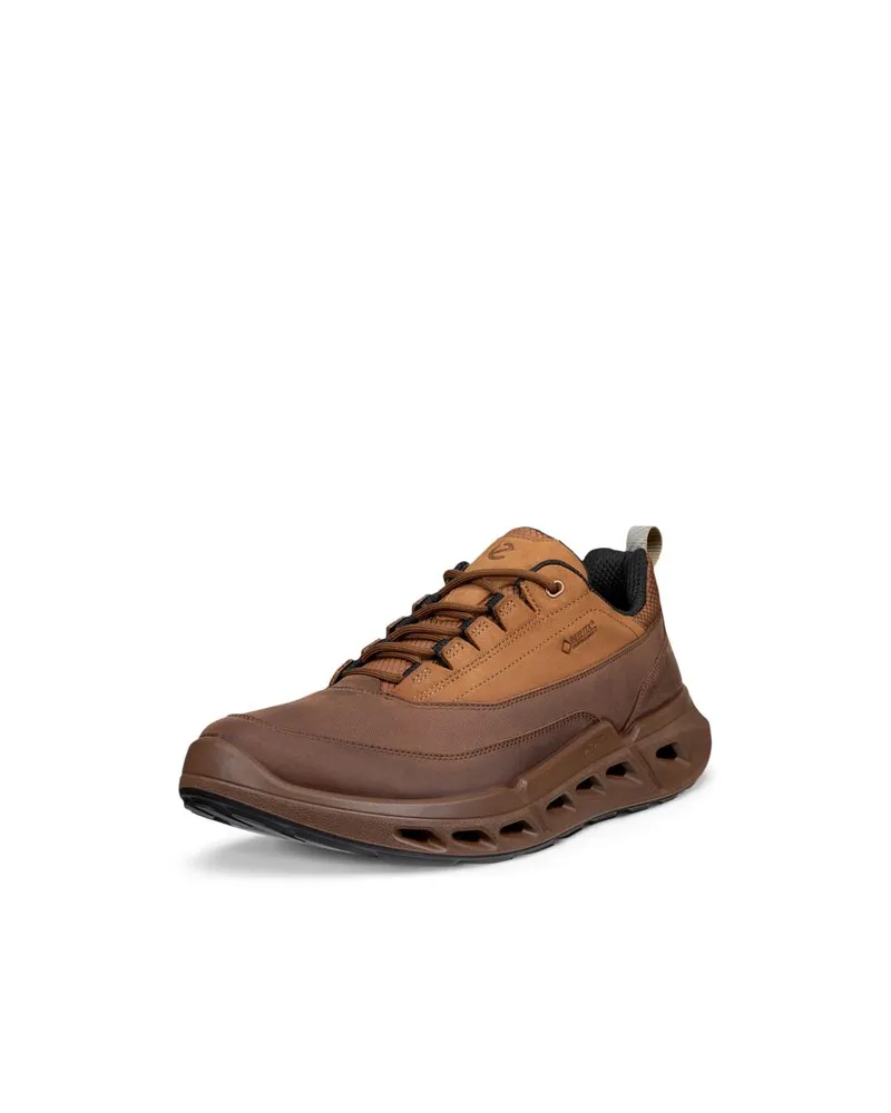 Brown ECCO Biom 720 M Cocoa Brown