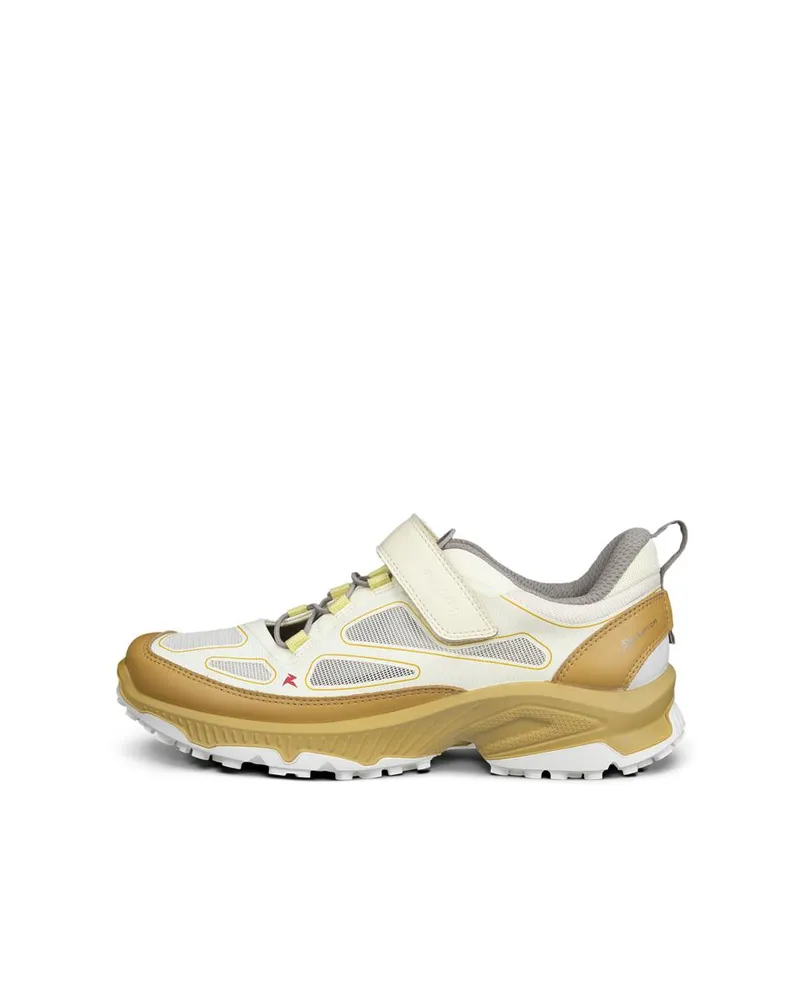 Yellow ECCO Receptor XP W Anise Flower