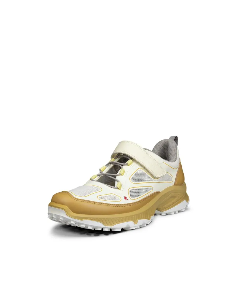 Yellow ECCO Receptor XP W Anise Flower