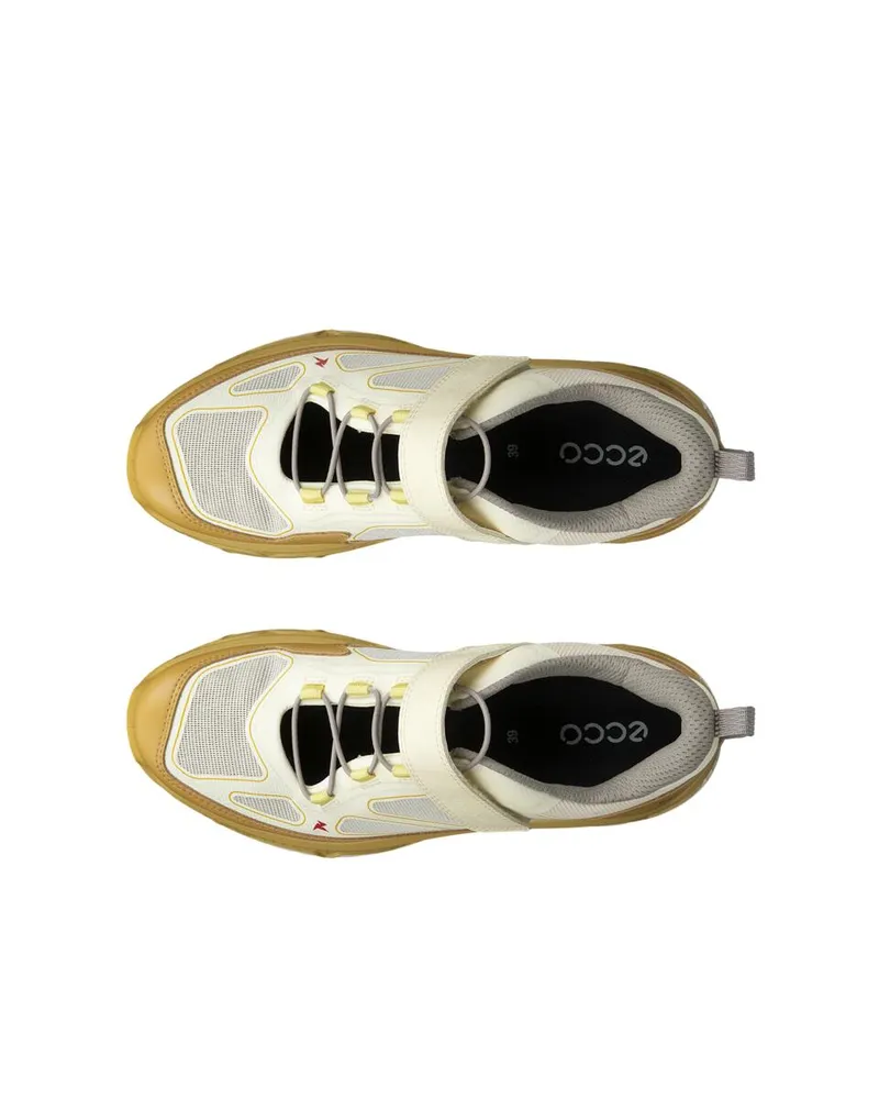 Yellow ECCO Receptor XP W Anise Flower