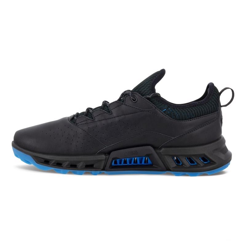 Siyah ECCO M GOLF BIOM C4 GOLF SHOE | Ecco