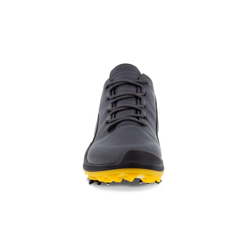Gri ECCO M GOLF BIOM G 3 MAGNET | Ecco