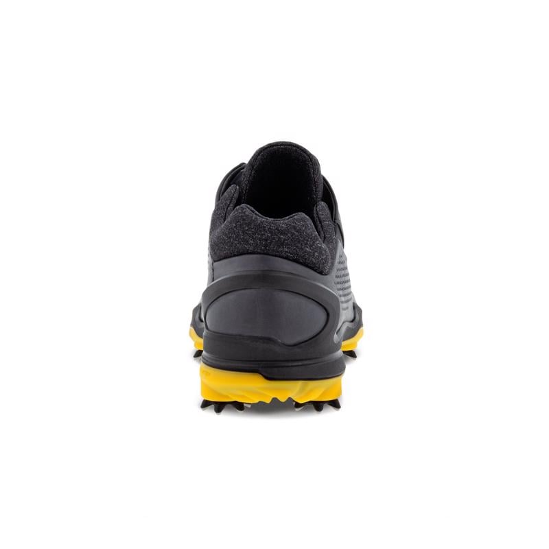 Gri ECCO M GOLF BIOM G 3 MAGNET | Ecco