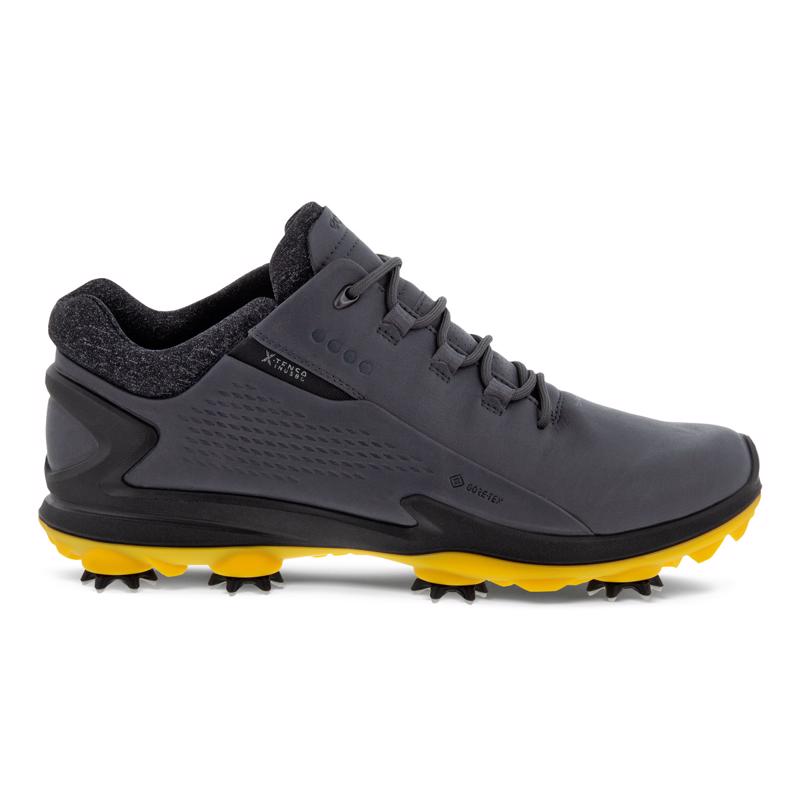 mkoba ECCO BIOM G 3 ゴルフシューズ US 8-8.5 Gri ECCO M GOLF BIOM G 3 MAGNET | Ecco