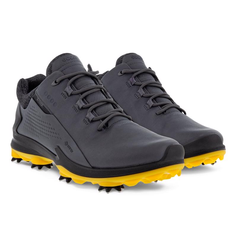 Gri ECCO M GOLF BIOM G 3 MAGNET | Ecco